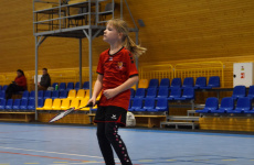 2Kynzvartsky-svihacek-2022-046