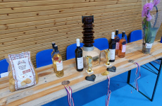 Schneider-Cup-2023-024