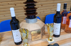 Schneider-Cup-2023-025