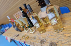 Schneider-Cup-2024-016