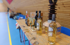 Schneider-Cup-2024-017