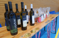 Jarni-Svihak-2024-022