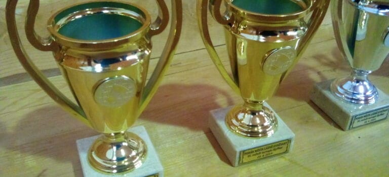 O pohár města LK 2014